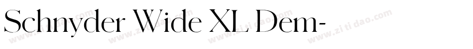 Schnyder Wide XL Dem字体转换